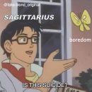 Sagittarius meme