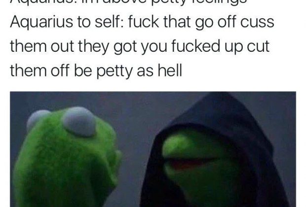 17 Posts That Will Make Every Aquarius Feel Attacked Yet Understood