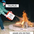 24 Taurus Memes That Will Make You Feel Seen