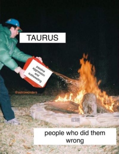 24 Taurus Memes That Will Make You Feel Seen
