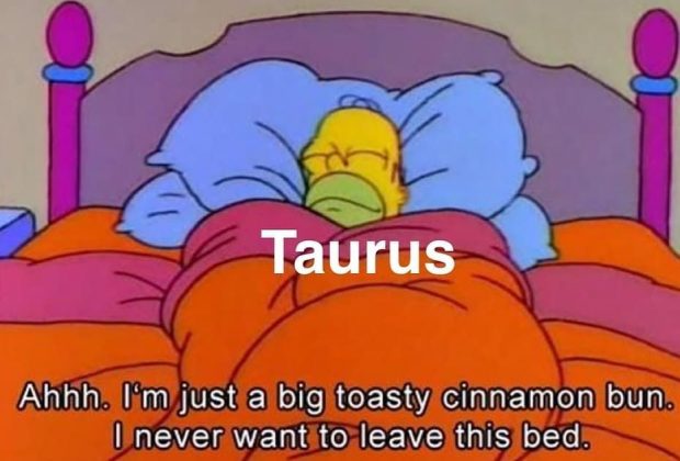taurus memes, taurus horoscope, taurus aesthstic