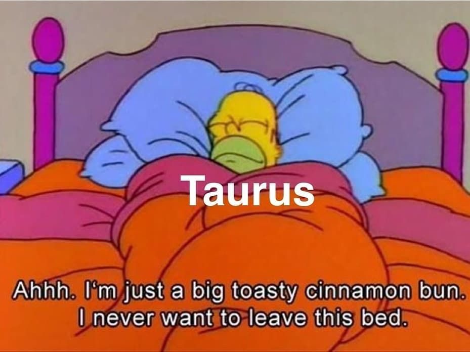 Taurus Memes Taurus Horoscope Taurus Aesthstic Zodiac Memes