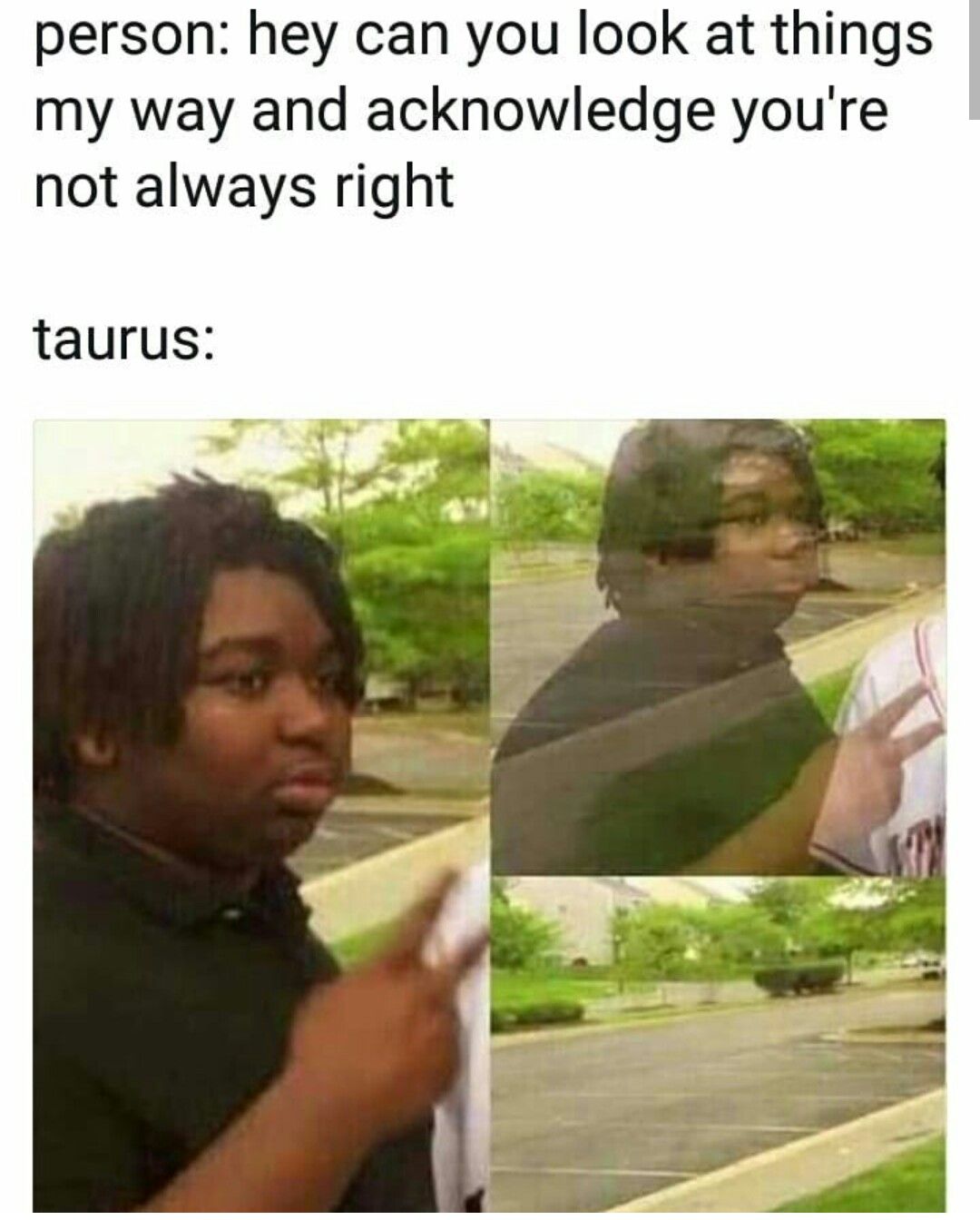 Taurus meme, astrology meme, zodiac