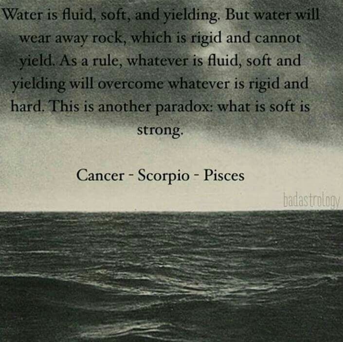 is scorpio and cancer a water sign