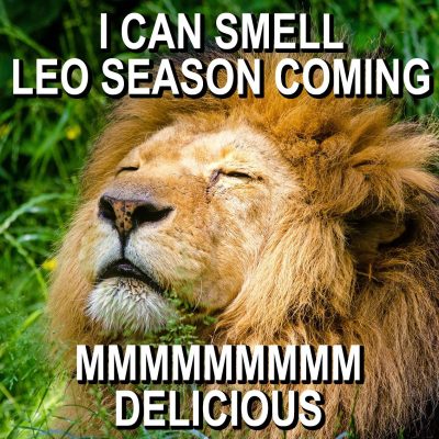 LEO SEASON IS COMING!!!!! Leo Zodiac Meme, Funny Leo Memes, Leo Horoscope, Leo astrology,…