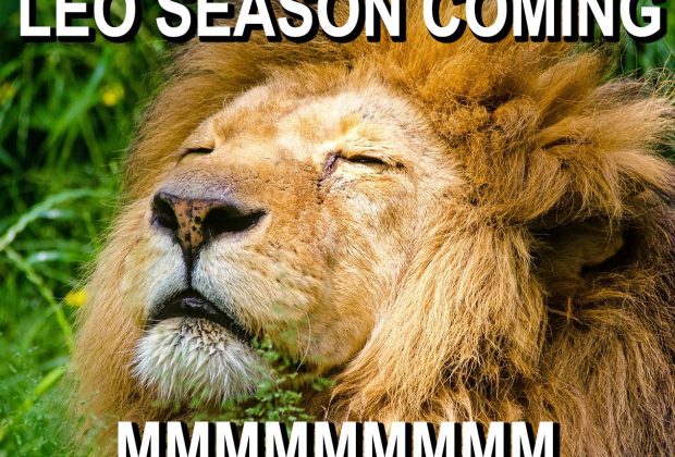 LEO SEASON IS COMING!!!!! Leo Zodiac Meme, Funny Leo Memes, Leo Horoscope, Leo astrology,…