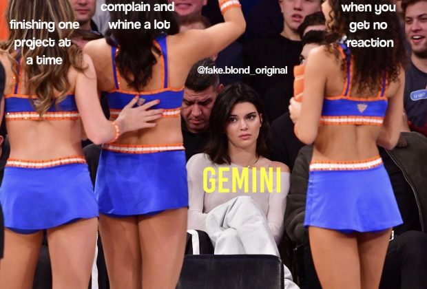 Gemini meme