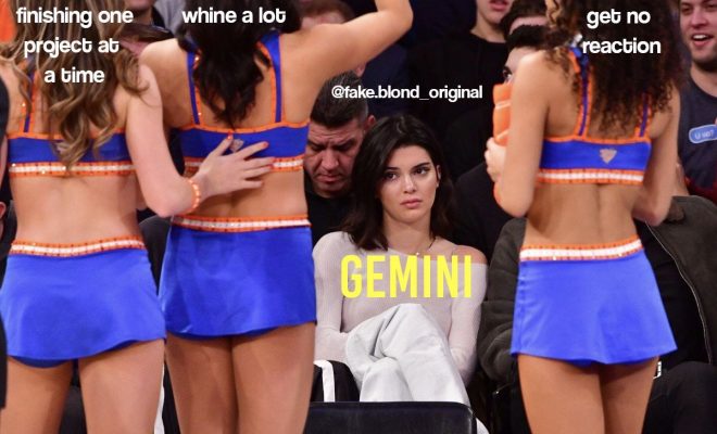Gemini meme