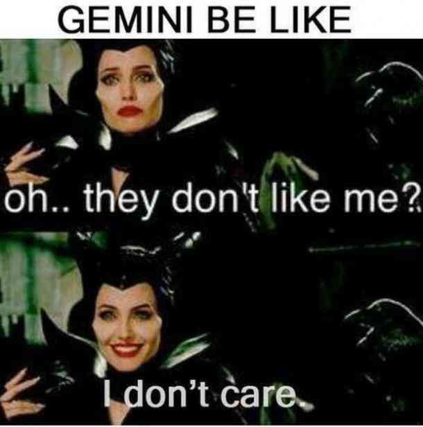 12 Best Gemini Memes & Quotes That Perfectly Sum Up The Zodiac Twin’s Personality…