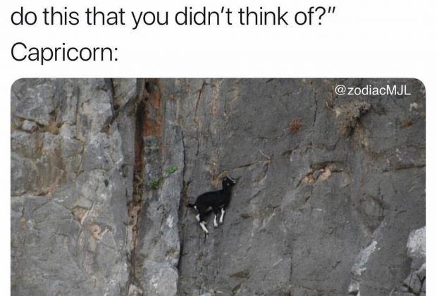 Don’t know the way back down tbh #Capricorn explore Pinterest”> #Capricorn #astrologymemes explore Pinterest”>…