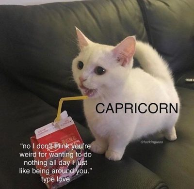 Capricorn