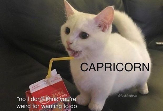 Capricorn