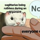 Sagittarius meme, astrology meme, zodiac