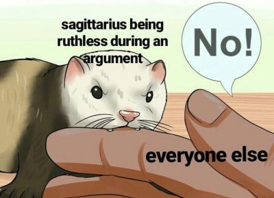 Sagittarius meme, astrology meme, zodiac