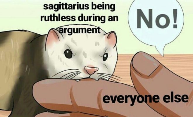 Sagittarius meme, astrology meme, zodiac