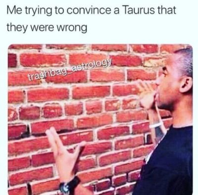 24 Taurus Memes That Will Make You Feel Seen