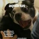 Aquarius meme, astrology meme, zodiac
