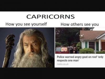 20 Best Memes About Being A Capricorn |