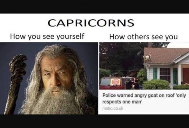 20 Best Memes About Being A Capricorn |