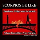 13 “Scorpios Be Like” Meme | Scorpio Memes: Scorpios Be Like: # scorpio #meme…