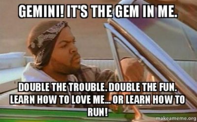 12 Best Gemini Memes & Quotes That Perfectly Sum Up The Zodiac Twin’s Personality…