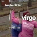 Virgo meme, astrology meme, zodiac