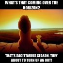 20 Funny But True Sagittarius Memes |