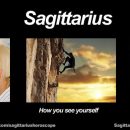 Funny Sagittarius Meme
