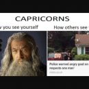 20 Best Memes About Being A Capricorn |