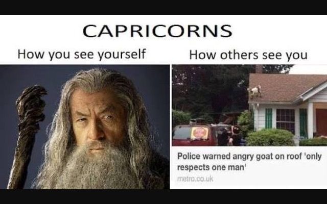 20 Best Memes About Being A Capricorn |