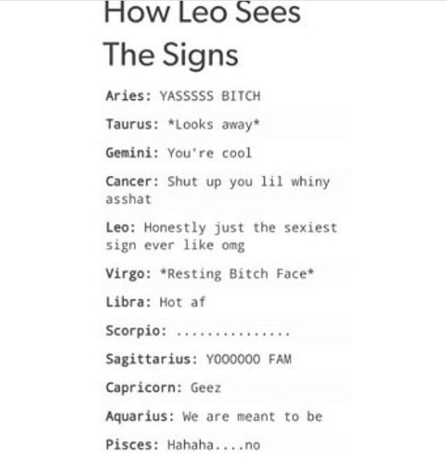 How Leo Sees The Signs - Zodiac Memes