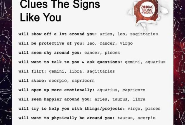 Clues The Signs Like You –