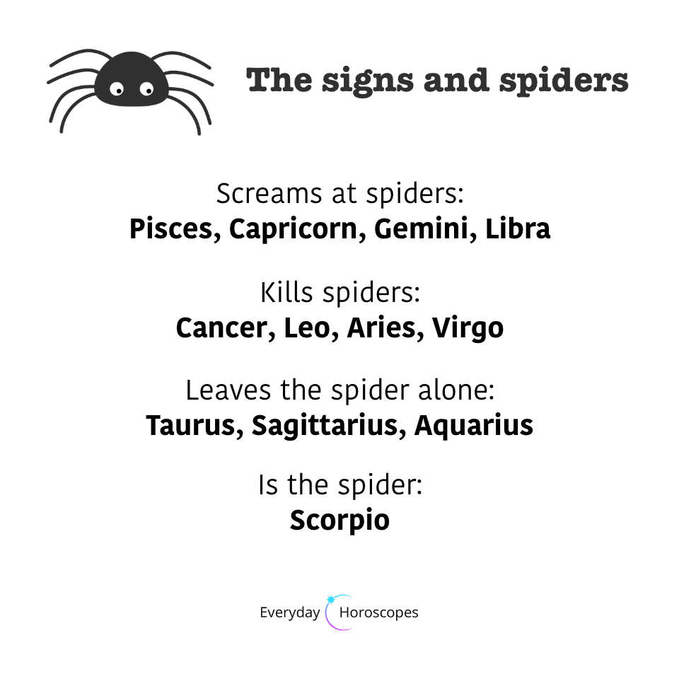 #dailyhoroscope explore Pinterest”> #dailyhoroscope #todayhoroscope explore Pinterest”> #todayhoroscope #horoscope explore Pinterest”> #horoscope #february explore…