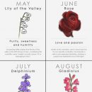 Your birth flower is the bloom associated with the month you were born which…