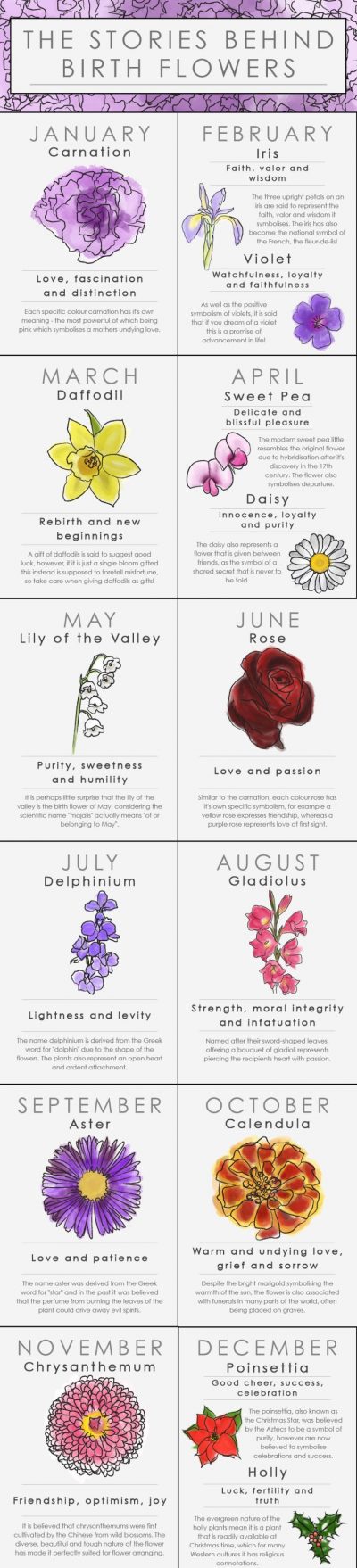 Your birth flower is the bloom associated with the month you were born which…