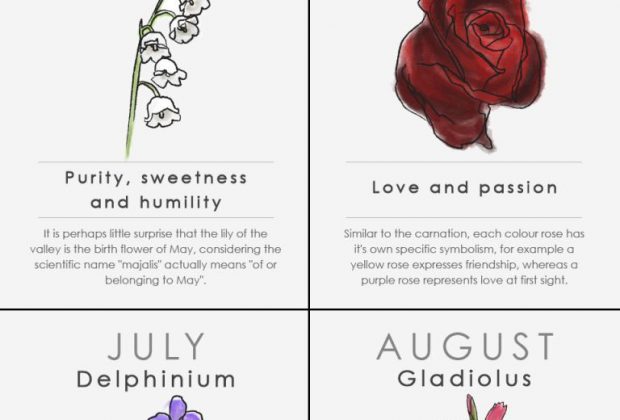 Your birth flower is the bloom associated with the month you were born which…