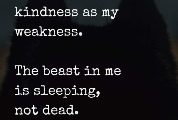 “Don’t consider my kindness as my weakness. The beast in me is sleeping, not…