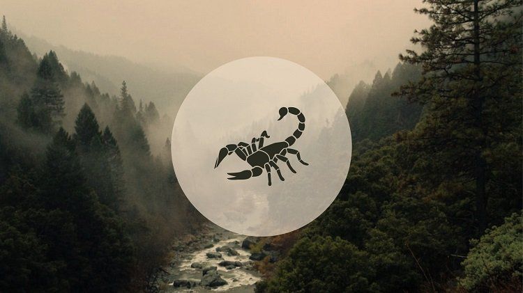 Scorpio November 2019