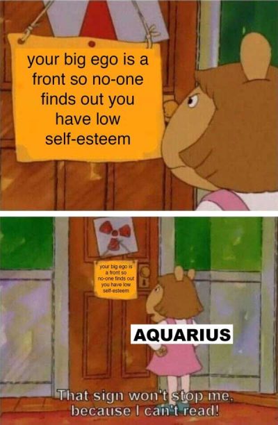 20+ Memes That’ll Make Every Aquarius Say “Yep, That’s Me” – Shenhuifu
