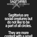 Fun facts about your sign here: Sagitarius Facts, Saggitarius Facts, Sagittarius Zodiac, Zodiac Signs…