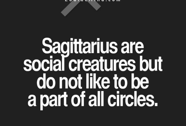 Fun facts about your sign here: Sagitarius Facts, Saggitarius Facts, Sagittarius Zodiac, Zodiac Signs…