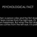 [Quotes]Fun Facts about dreams people #schoolpsychologyvideos