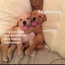 sagittarius-pisces//part 3follow @astrohoebitch for more #explore #explorepage #zodiac #memes #astrology