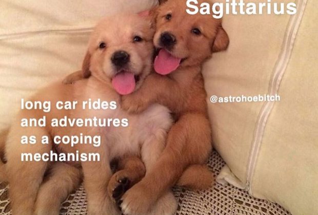 sagittarius-pisces//part 3follow @astrohoebitch for more #explore #explorepage #zodiac #memes #astrology