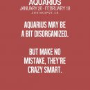 Aquarius facts/ Aquarius quotes Aquarius zodiac sign /