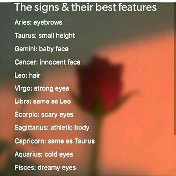 25 Aries Memes That Aren T Just About Them Yelling Their Heads Off Zodiac Memes