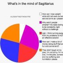 Sagittarius rising