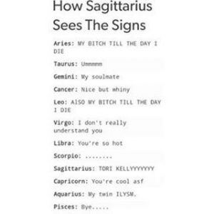 How Sagittarius Sees The Signs - Zodiac Memes