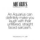 ZODIAC AQUARIUS FUN FACTS | more about your zodiac sign here