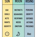 Virgo Sun, Aquarius Moon & Rising … that is me